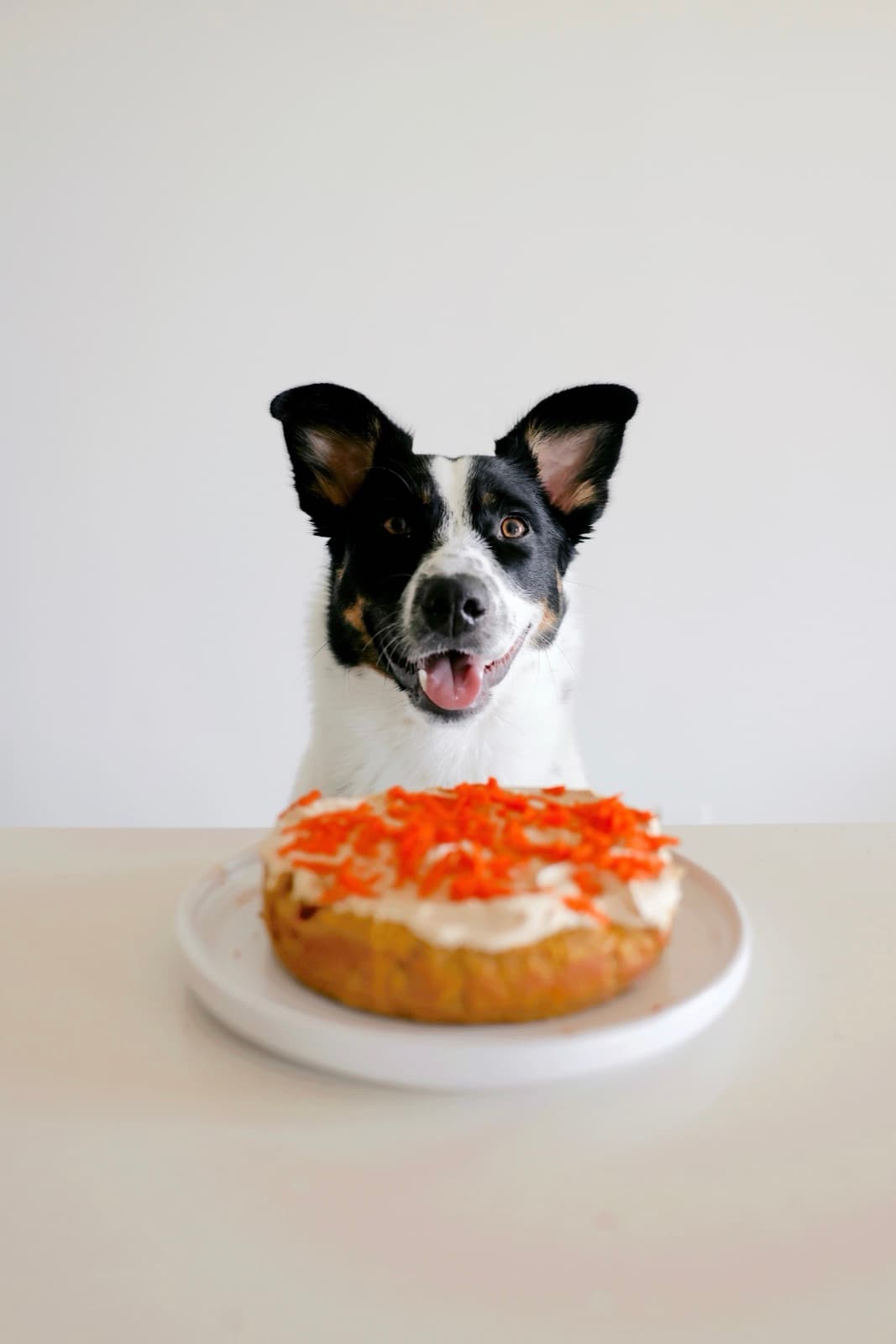 Jazzy's First Birthday Cake
