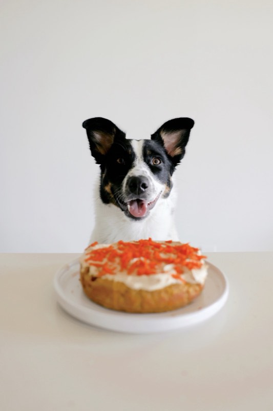 Jazzy's First Birthday Cake